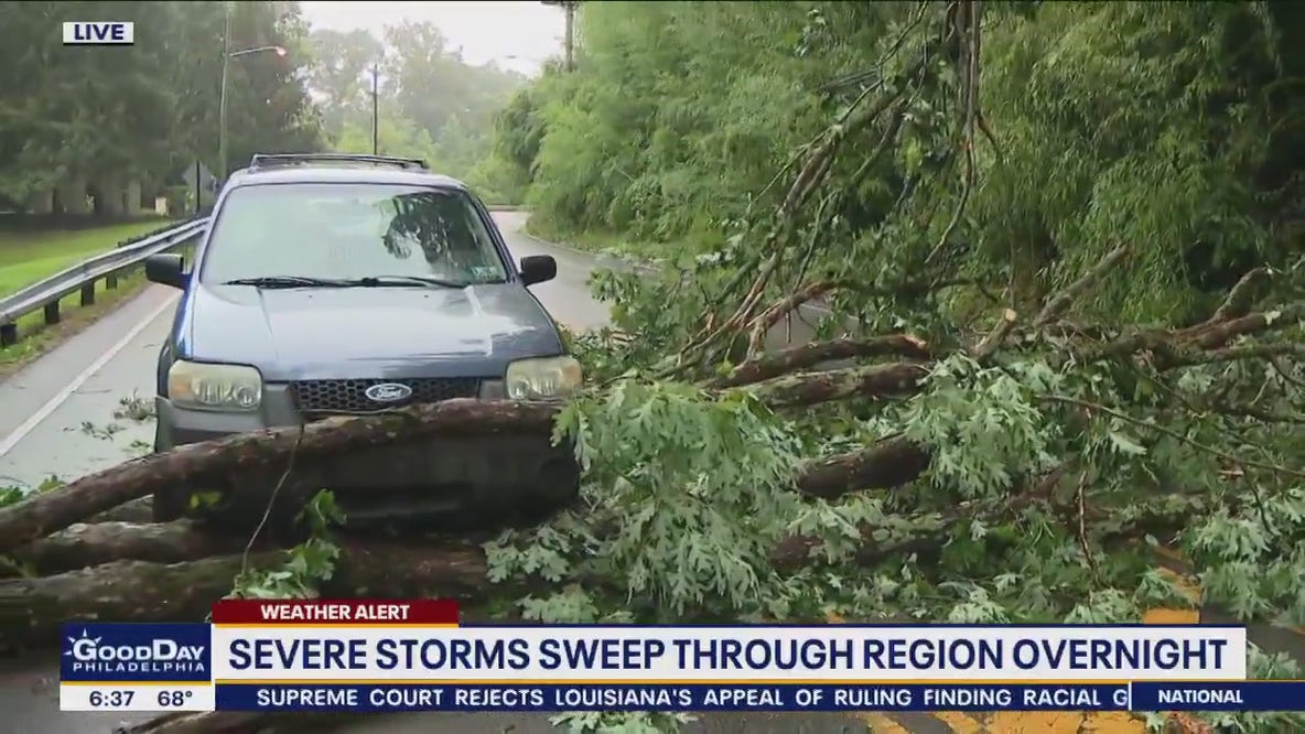 Falling tree nearly crushes mom, daughter on way to airport in Delaware County
